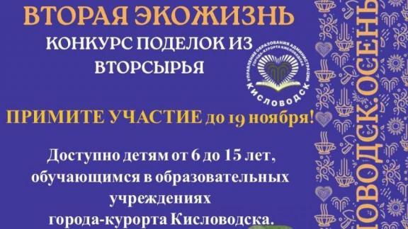 В Кисловодске стартовал конкурс детских поделок из вторсырья