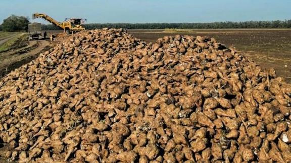 Ставропольские аграрии нацелены на импортозамещение