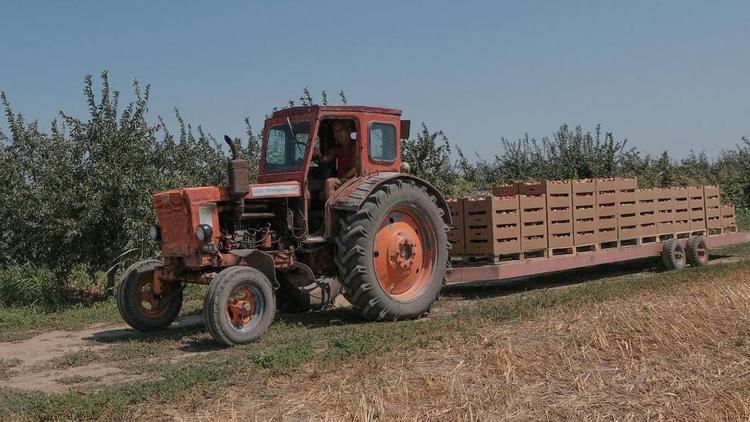 Аграриям Арзгирского округа выдают субсидии на различные нужды