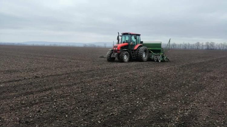 Земледельцы Кочубеевского округа засеют более 60 тысяч гектаров озимых