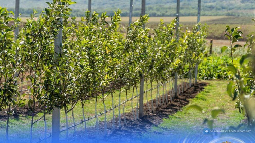 Выпускниками «Школы фермера» на Ставрополье стали 44 человека