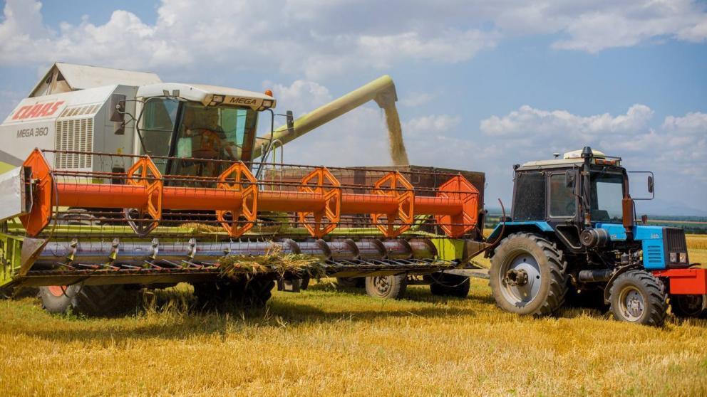 Жатва в Кировском округе Ставрополья вступила в активную фазу