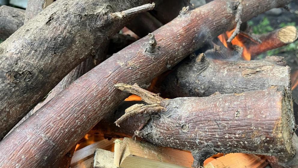 Пожароопасный сезон официально объявлен на Ставрополье