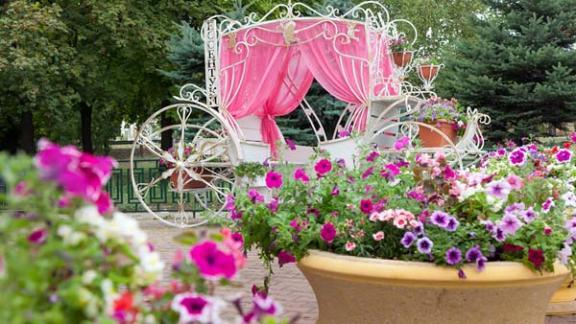 В Ессентуках появилась белоснежная карета для молодоженов