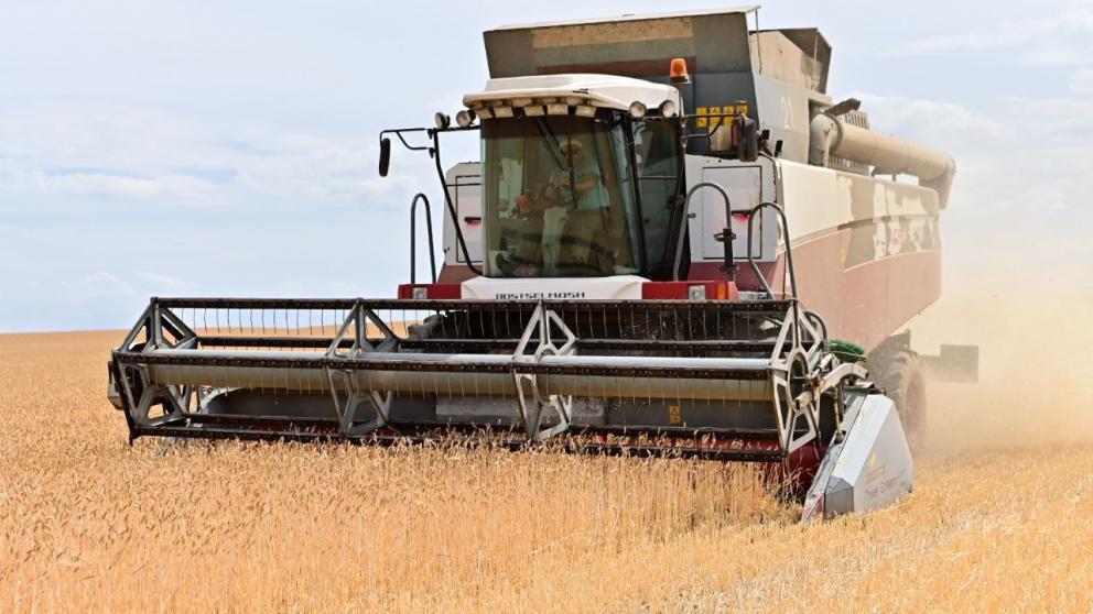 На Прикумье собрали почти полмиллиона тонн зерна