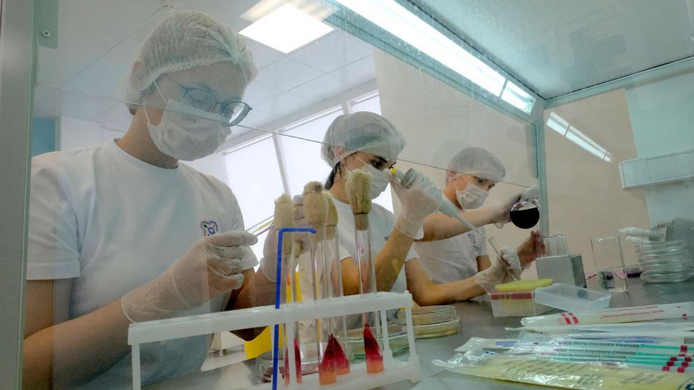 Региональный проект «Успех каждого ребёнка» помогает вовлечь детей в образовательный процесс