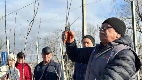 В Новоселицком округе Ставрополья провели мастер-класс по садоводству