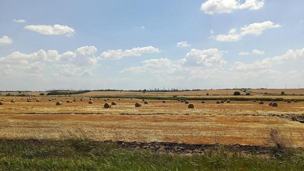 Ставрополье вошло в рейтинг крупнейших регионов страны по агрострахованию