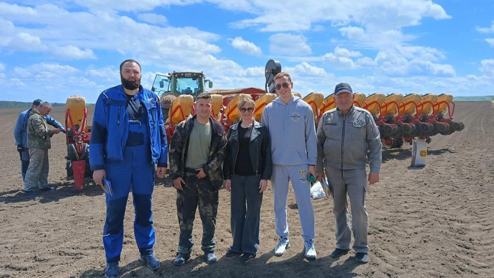 В рамках импортозамещения на Ставрополье увеличились площади под семенным подсолнечником