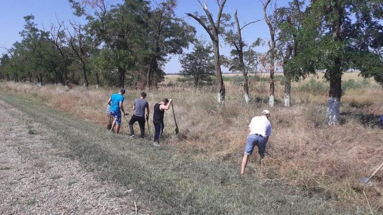 В Ипатовском округе Ставрополья стартовал экомарафон «Дни зелёных действий»