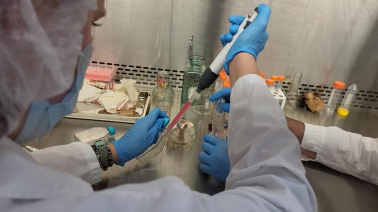 Учёные ставропольского вуза трудятся над созданием клеточных культур
