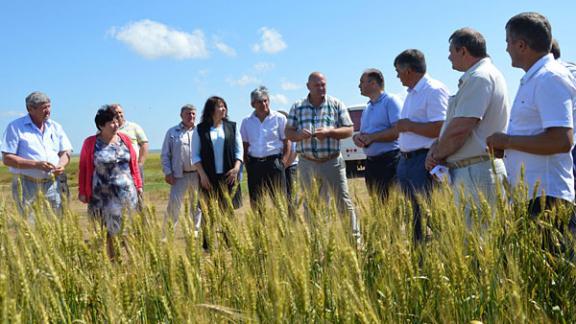 Погода село апанасенковское. Село Апанасенковское Апанасенковского района Ставропольского края. Апанасенковский район село Вознесеновское. Передовые Чабаны Ставропольский край Апанасенковский район. Село Вознесеновское Ставропольский край.