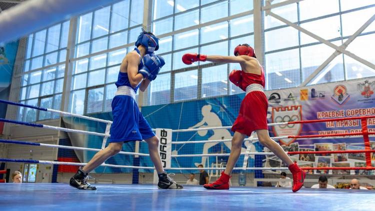 В станице Суворовской прошли чемпионат и первенство СКФО по боксу
