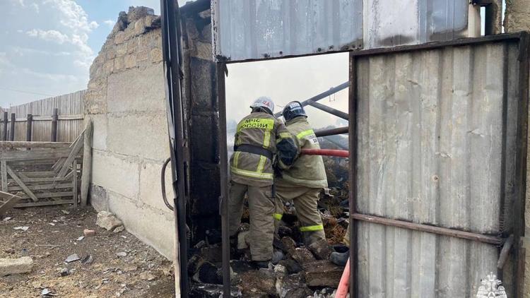 В пожаре в Нефтекумском округе Ставрополья погибли 40 овец