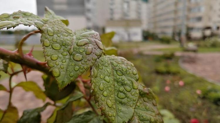 В Ставрополе устраняют последствия ливня