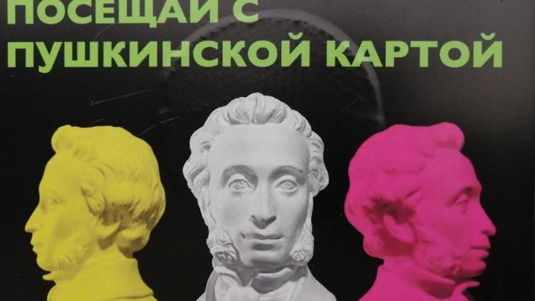 Порядка 35 тысяч ставропольцев стали обладателями «Пушкинской карты»
