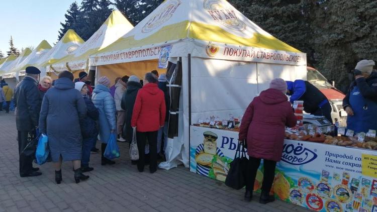 В Минеральных Водах пройдёт ярмарка в поддержку участников СВО