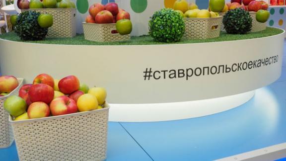 Ставропольский край готовится к международной выставке «ПРОДЭКСПО»