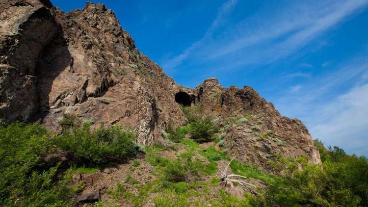 На Ставрополье почти 60 памятников природы получили паспорта