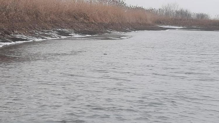 В Красногвардейском округе очистят накопитель питьевой воды