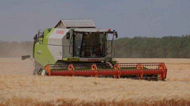 На компенсацию части затрат сельхозтоваропроизводители Ставрополья получат 460 миллионов рублей