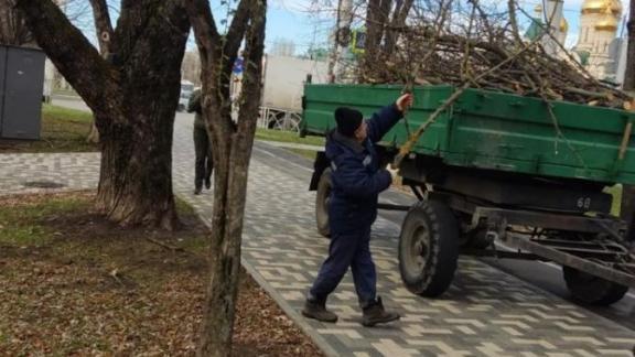 В Ставрополе завершают ликвидацию последствий сильного ветра