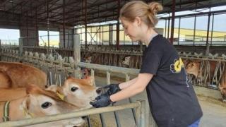 На Ставрополье реализуется программа привлечения в село специалистов