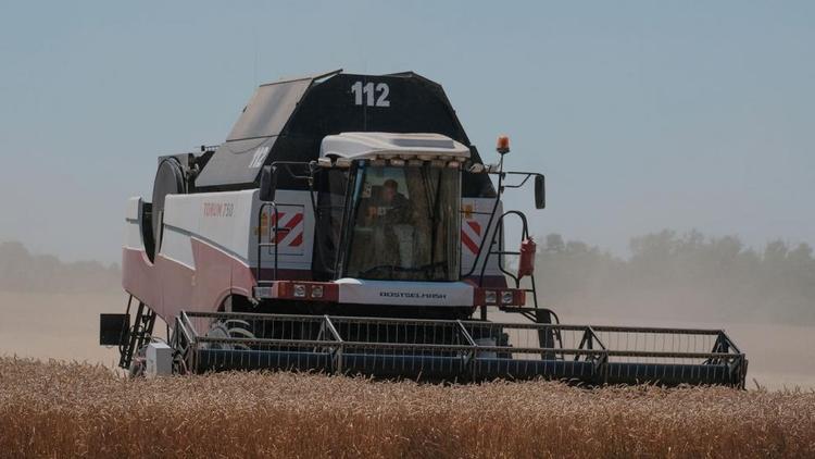 Аграрии Курского округа приступили к обмолоту озимой пшеницы 