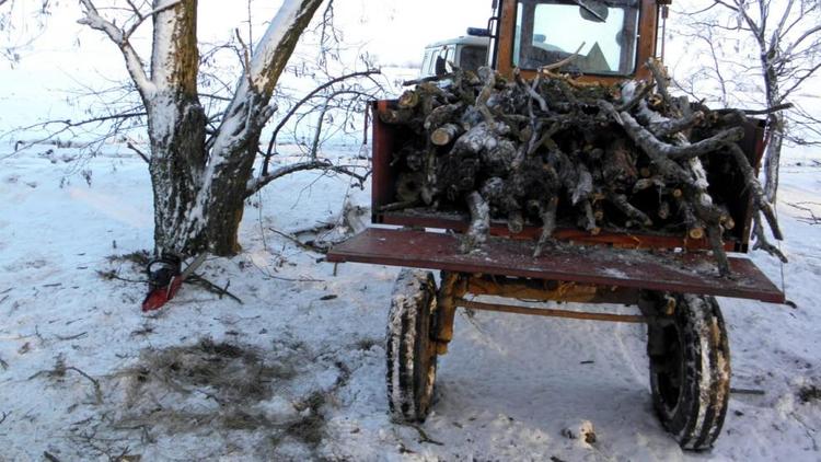 В Степновском районе будут судить селянина за незаконную вырубку акаций