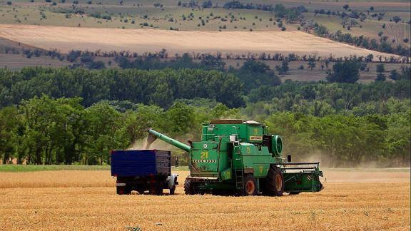 В Новоселицком округе Ставрополья началась уборка зерновых