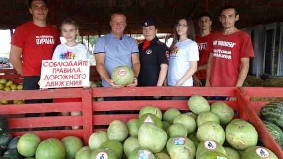 В Грачёвском районе арбузы и дыни снабжают наклейками по ПДД