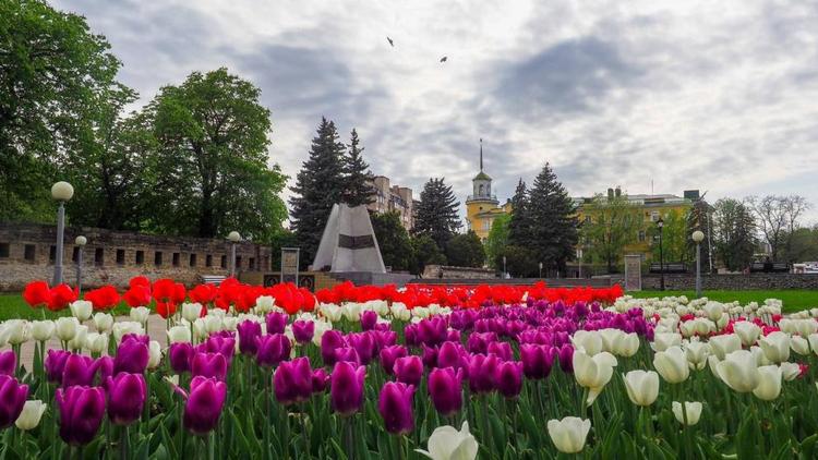 Ставропольцы могут поддержать город в конкурсе на звание культурной столицы России