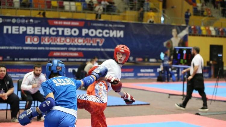 В Ставрополе идёт запись детей в секции по тхэквондо и кикбоксингу