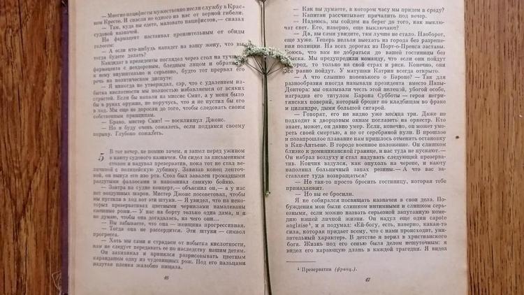 В Ставрополе к 130-летию Марины Цветаевой подготовили культурную программу