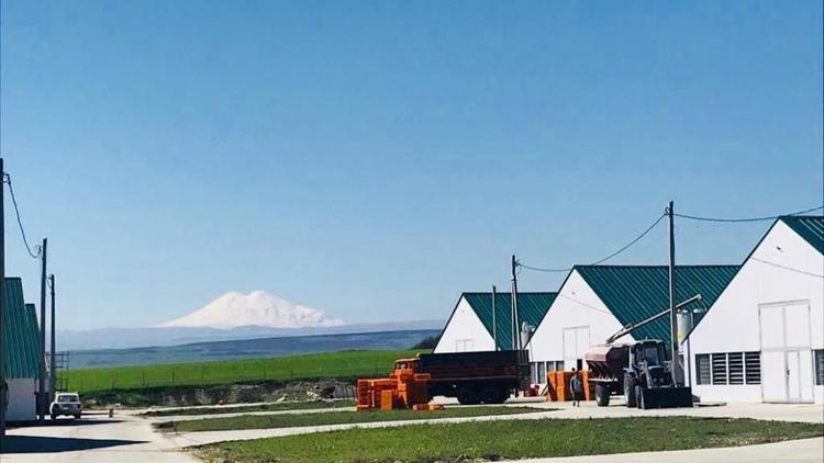 Крупная утиная ферма Ставрополья произвела 324 тонны мяса