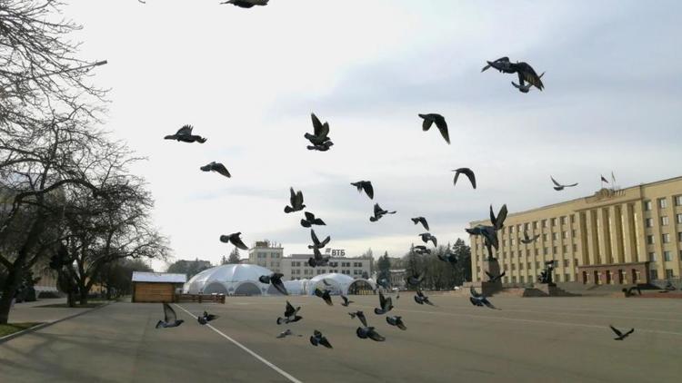 В Ставрополе 2 марта прозвучат учебные сирены