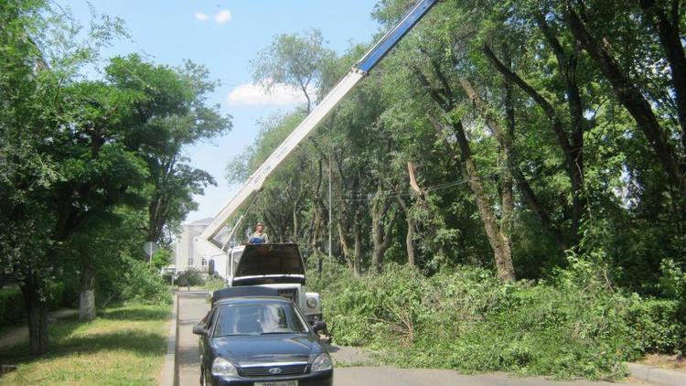 В центре Невинномысска кронируют деревья