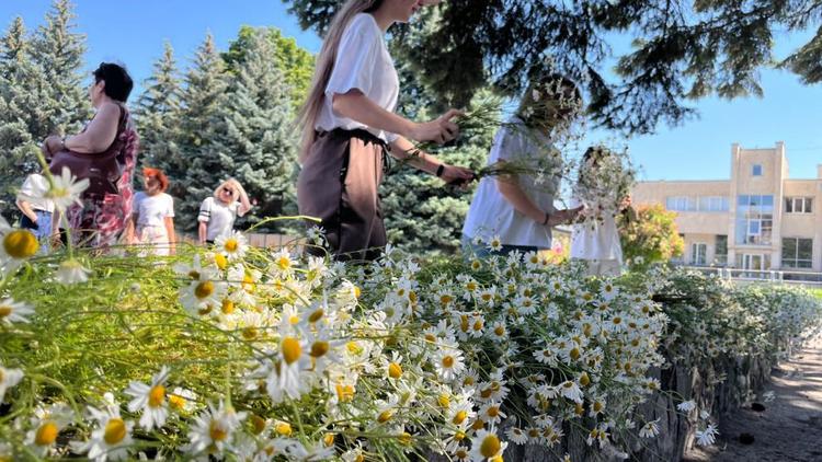 Более 500 человек в Предгорном округе стали участниками флешмоба