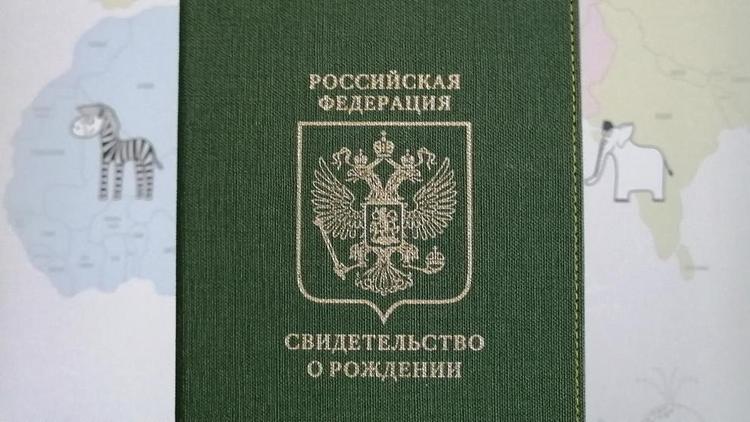 На Ставрополье 25 семей стали родителями двойняшек
