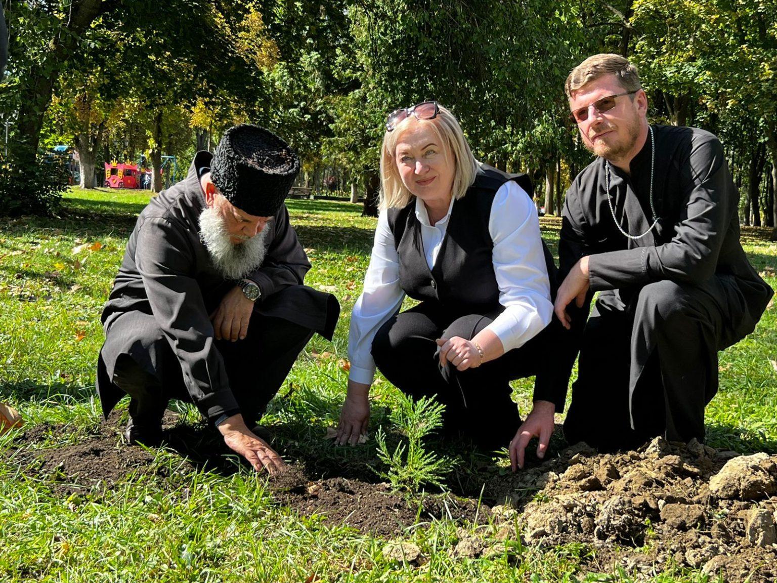 В Пятигорске посадили саженцы секвойи | Ставропольская правда