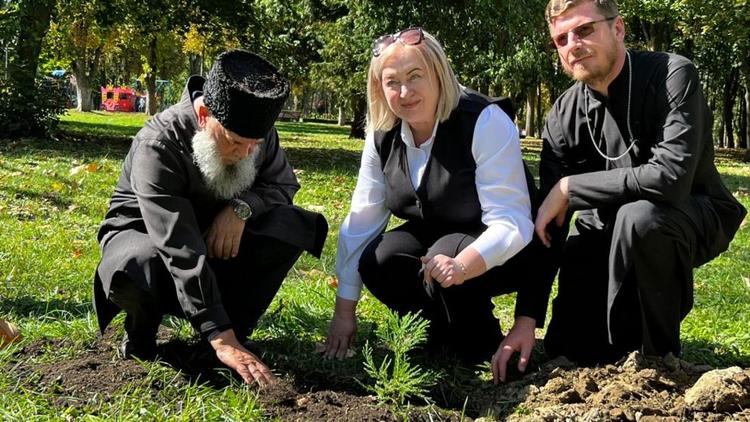 В Пятигорске посадили саженцы секвойи