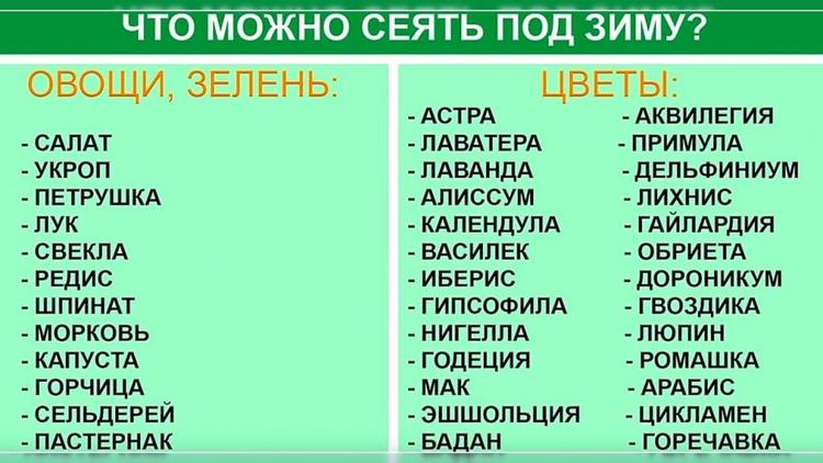 Ставропольцам рассказали, как проводить подзимний посев овощных культур