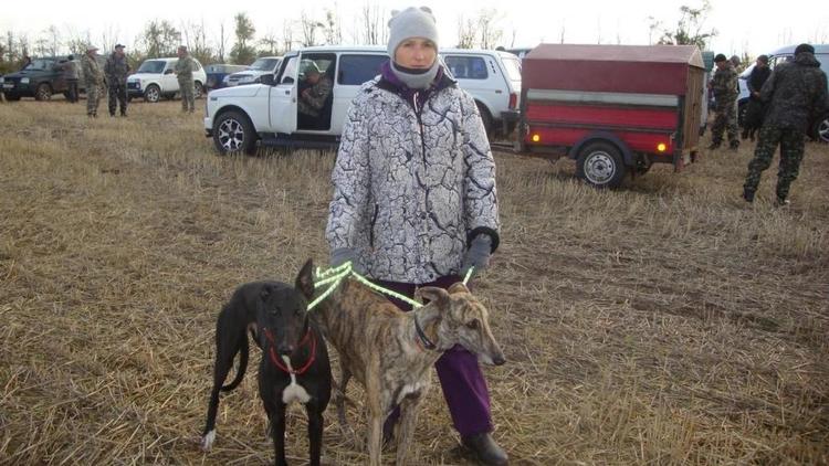 На Ставрополье прошли испытания среди собак породы Грейхаунд