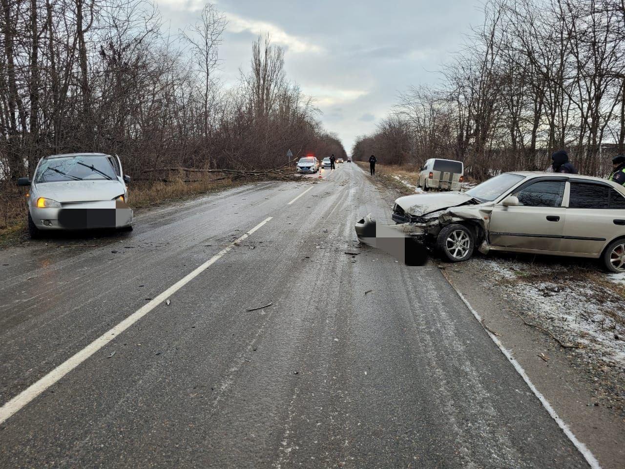 Упавшее на дорогу дерево стало причиной ДТП в Кочубеевском округе  Ставрополья | Ставропольская правда