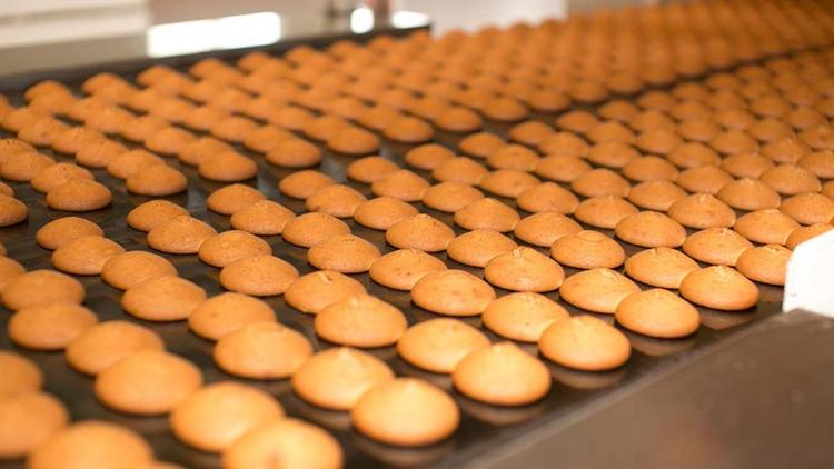 На Ставрополье начата работа в рамках «прорывного» проекта «Создание и развитие агропромышленного кластера»