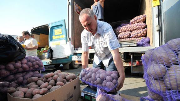 На ярмарках выходного дня реализовано уже более 720 тонн продукции