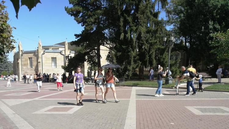 В Кисловодске проверят состояние деревьев в районе Колоннады 