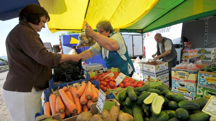 Акция «Овощи к подъезду» проходит в Ставрополе