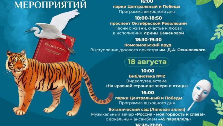 Послушать авторские песни и сыграть в «Мафию» зовут ставропольчан