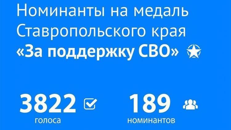 На Ставрополье предложили наградить медалью за поддержку СВО 189 человек